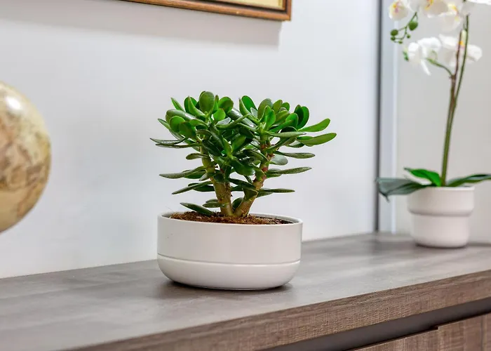 L'explorateur - Entièrement Refait - Hyper Centre Rouen